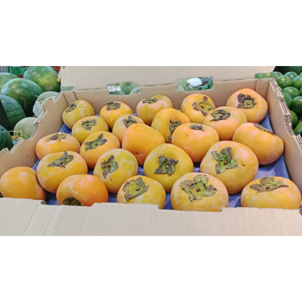 Buah kesemek import super murah fresh 1 kg