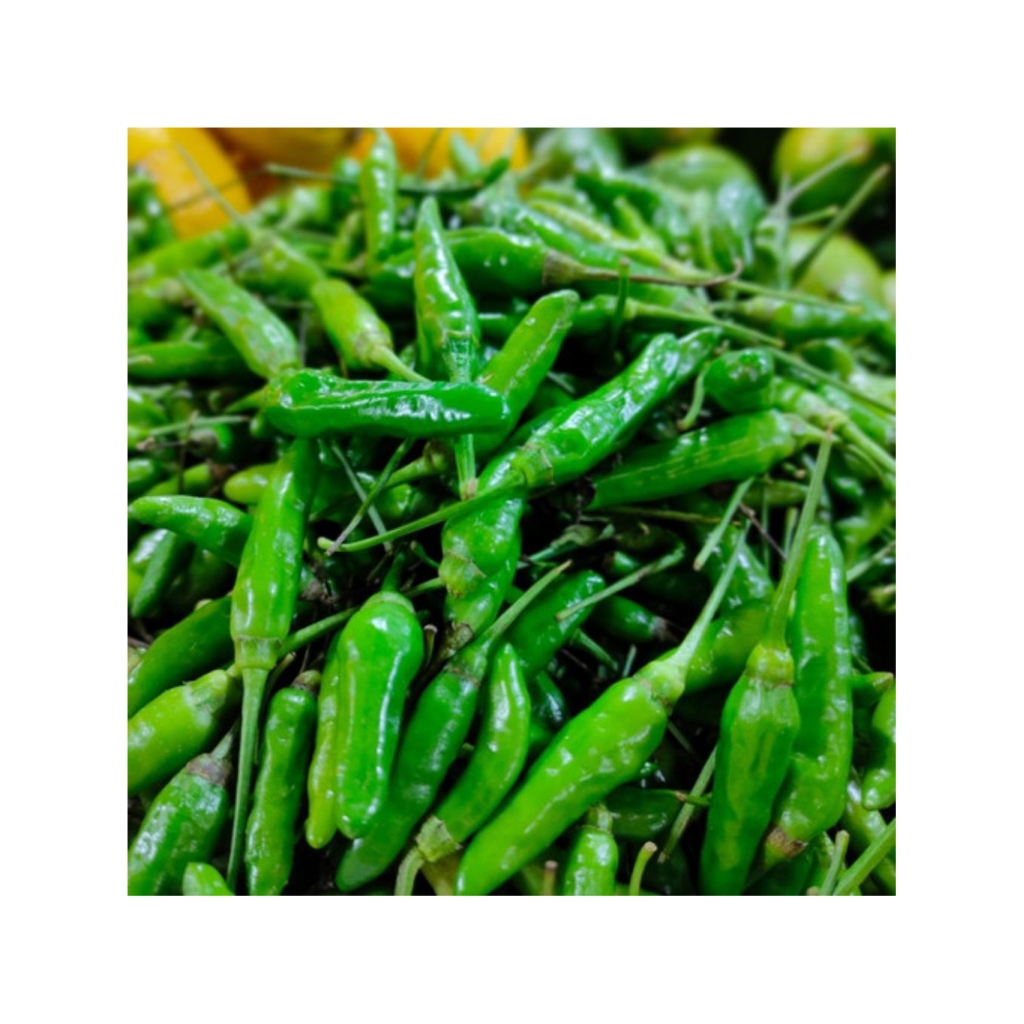 50 Biji~Benih Cabai Rawit Hijau