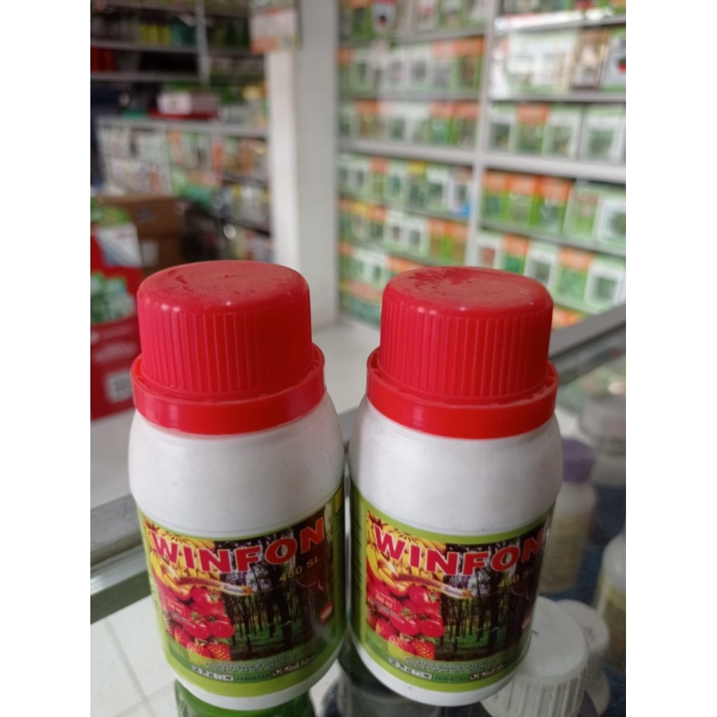 Pematang Buah Winfon 100 ml