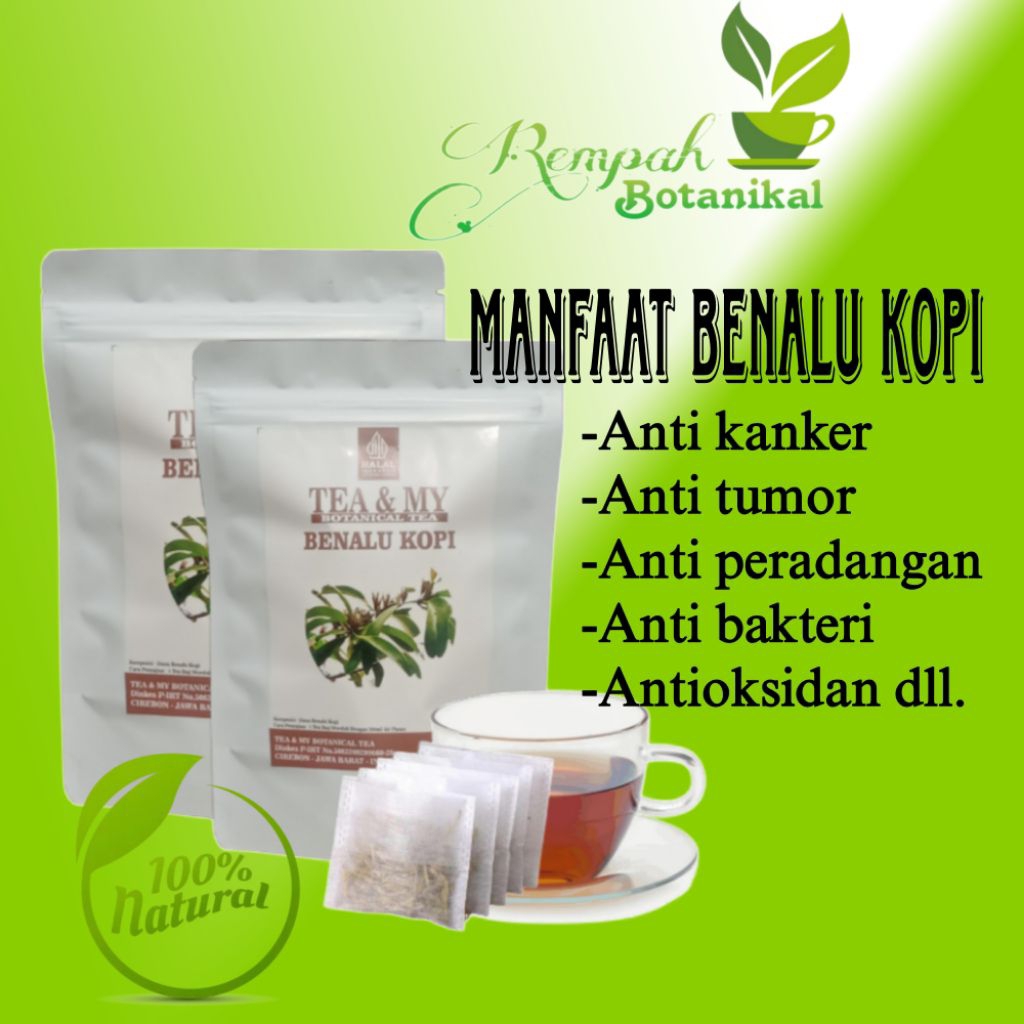 Benalu kopi | Teh celup benalu kopi asli | isi 30 tea bag