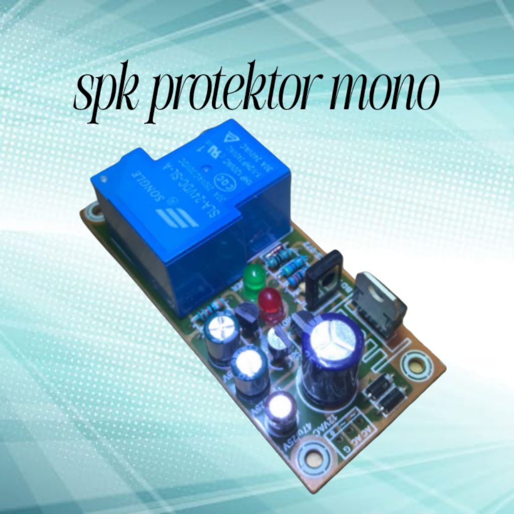 speaker protektor mono