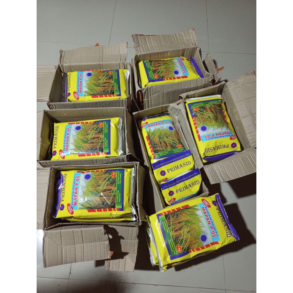 Bibit Mapan P05 35pcs