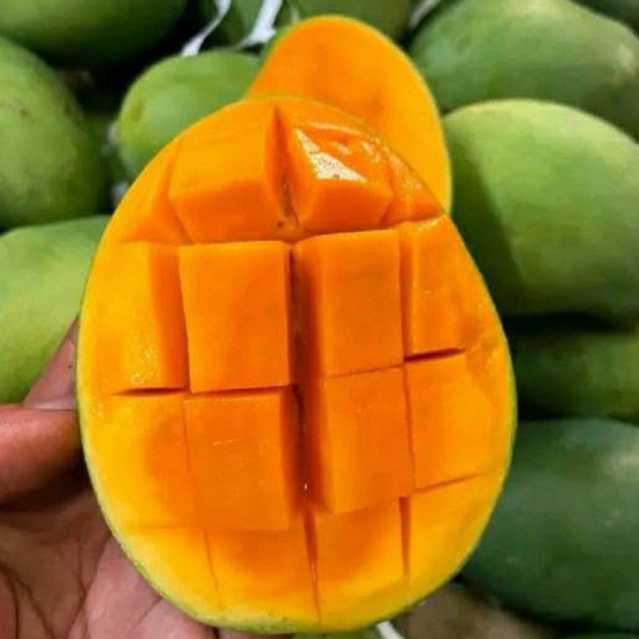 Mangga harum manis Probolinggo