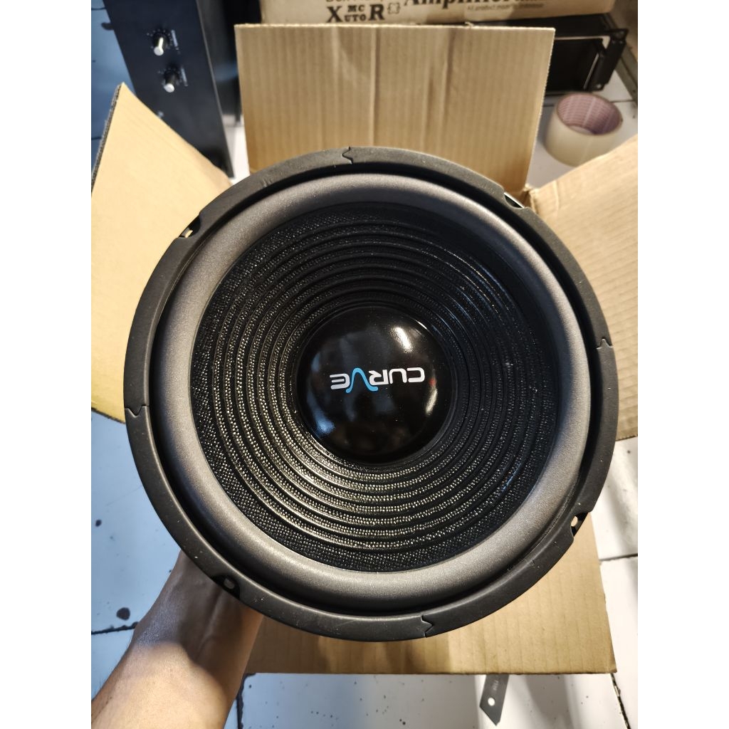 spiker 10 inch woofer
