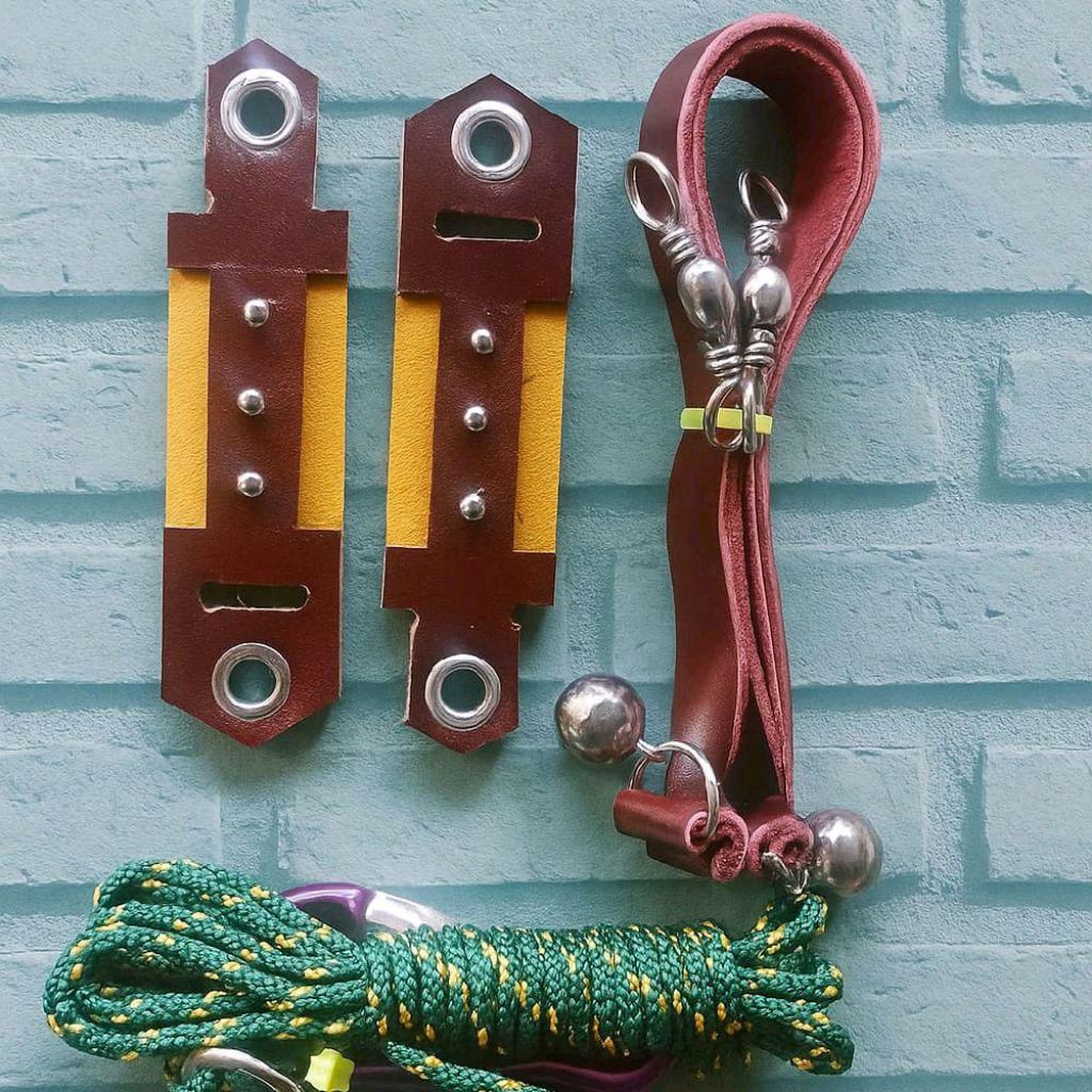 Tali kaki/angjes burung hantu tyto alba/barn owl