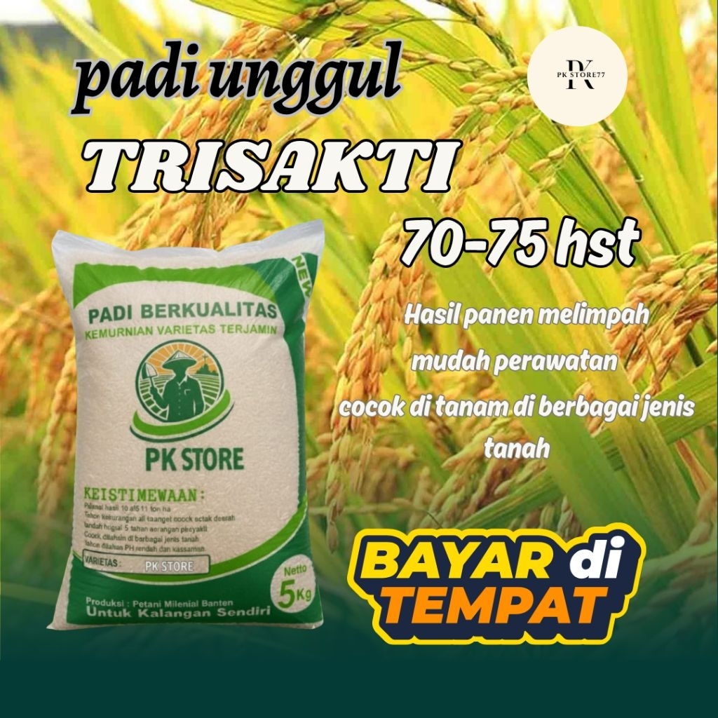 Benih padi unggul GALUR TRISAKTI genjah Kemasan 5kg