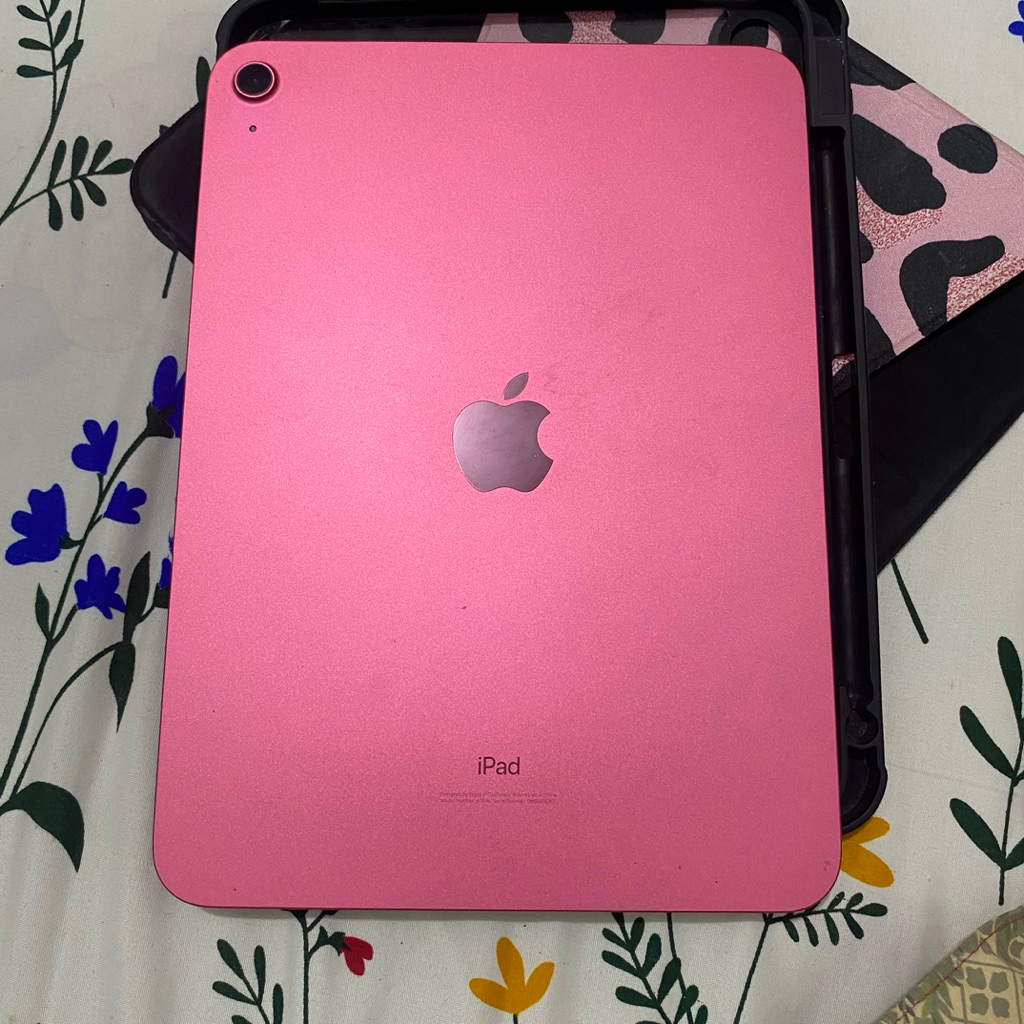 Ipad 10th Gen Second Mulus