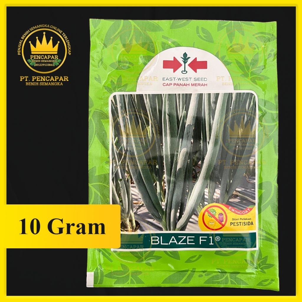 benih daun bawang BLAZE isi 10gram