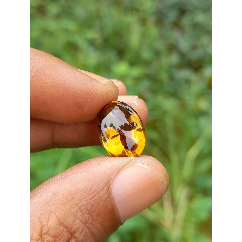 kecubung kuning kalimantan