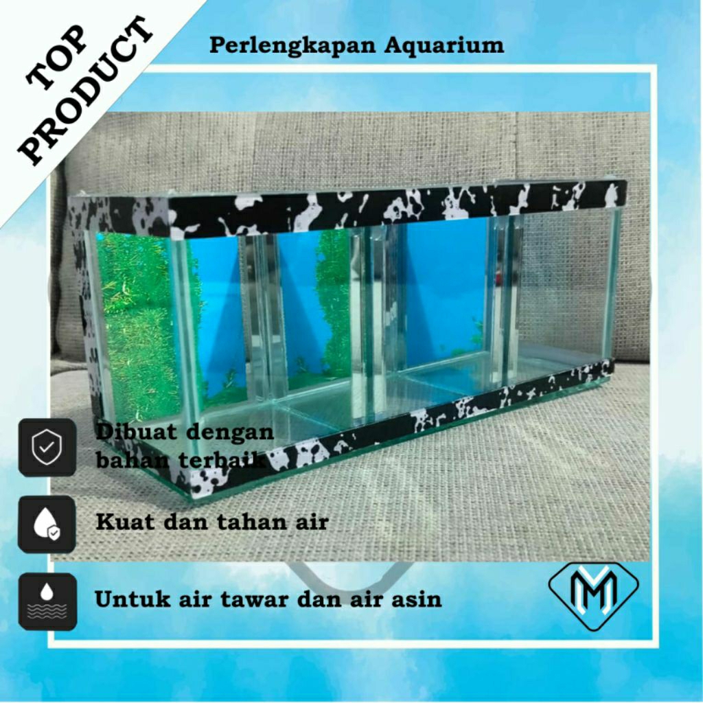 AQUARIUM SOLITER KACA / AQUARIUM UNIK UNTUK CUPANG / SOLITER CUPANG MINIMALIS
