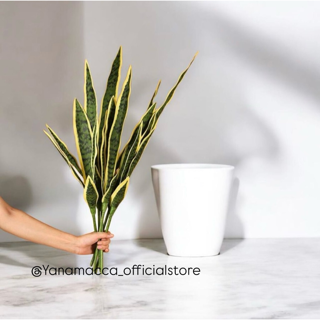 Daun lidah mertua Artificial