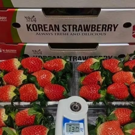 Strawberry Korea Premium | Buah Strawberry Korea 300g | 1 Pack