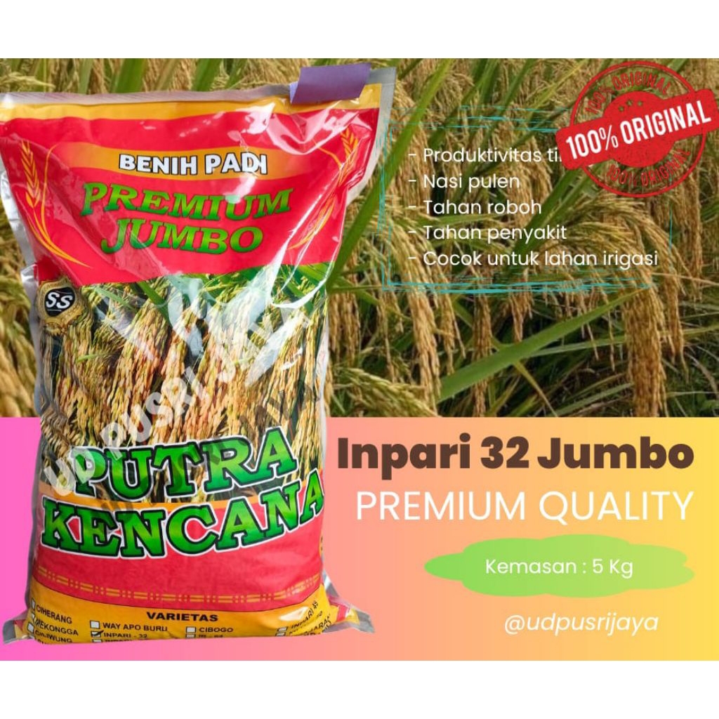 BENIH PADI INPARI 32 JUMBO PREMIUM kemasan 5kg
