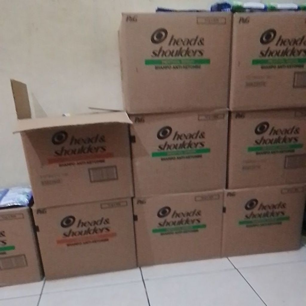 1 karton sampo head and shoulder