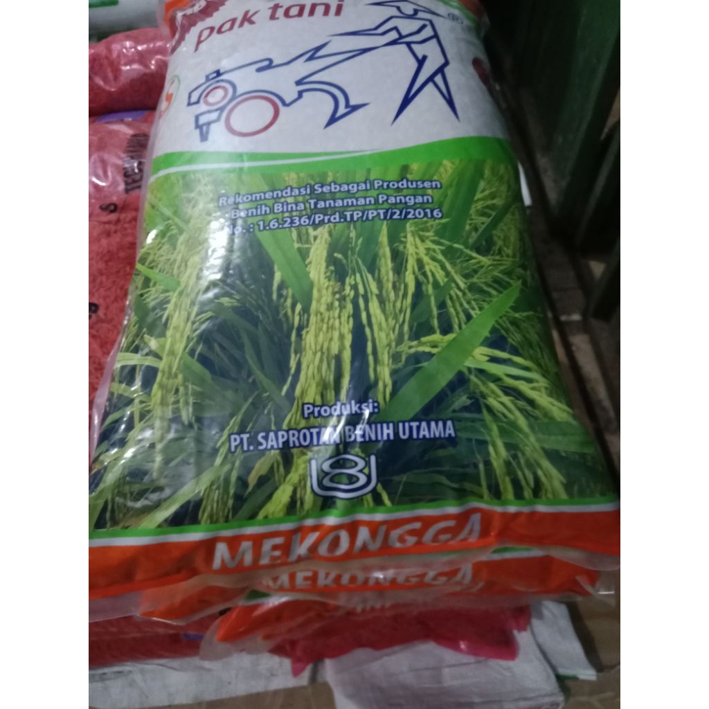 benih padi mekongga