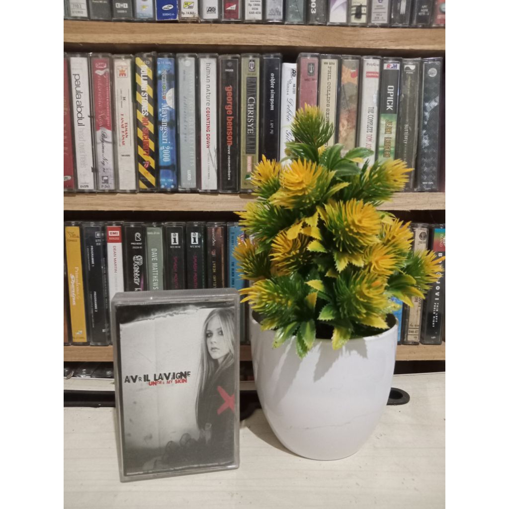 KASET AVRIL LAVIGN UNDER MY SKINN