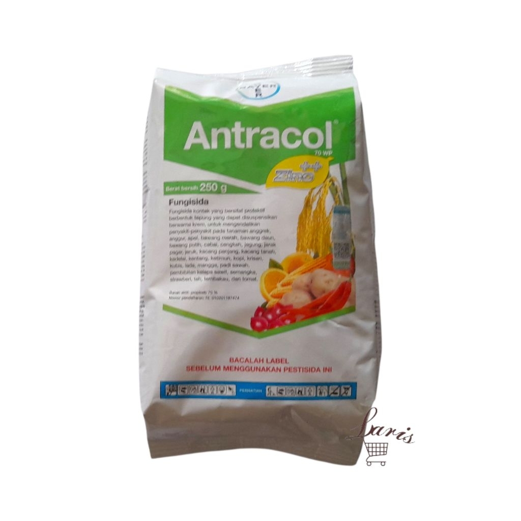 ANTRACOL 70 WP - 250 GRAM