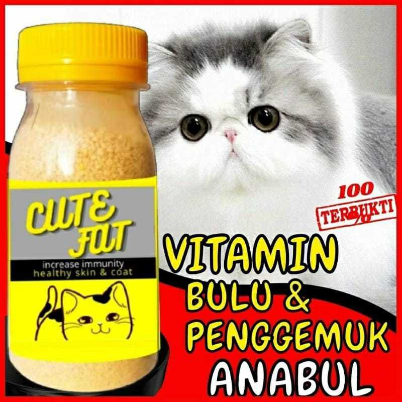VITAMIN BULU DAN GEMUK Kucing Penambah Nafsu Makan Anjing Obat Penggemuk Untuk Fitamin Anak Cat Kitt