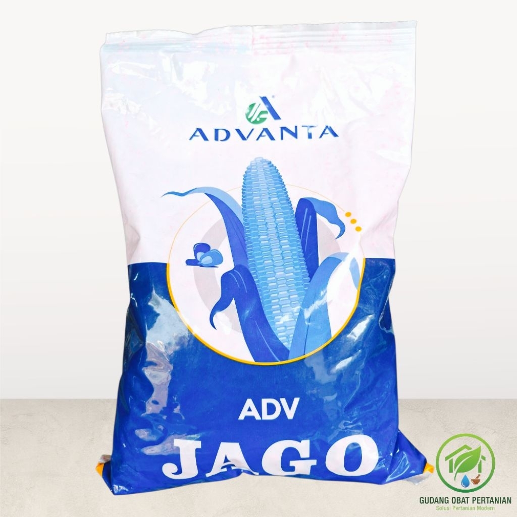 Benih Bibit Jagung Advanta Jago 1 Kg