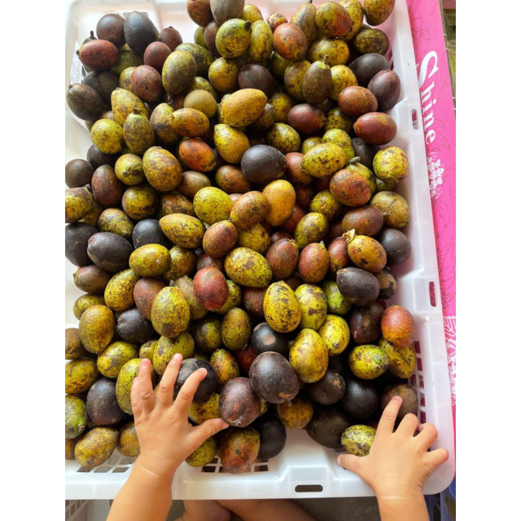 buah matoa manis 1kg