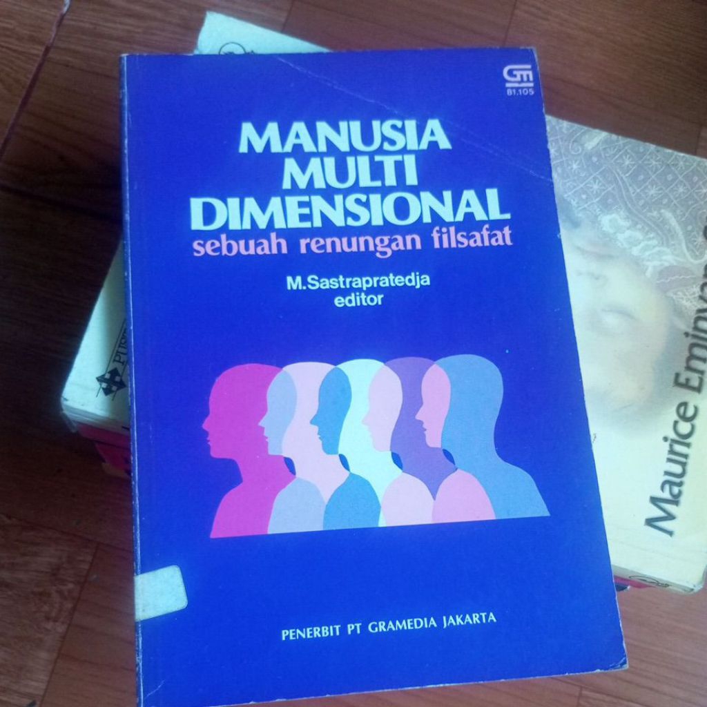 buku MANUSIA MULTI DIMENSIONAL. Sebuah renungan filsafat