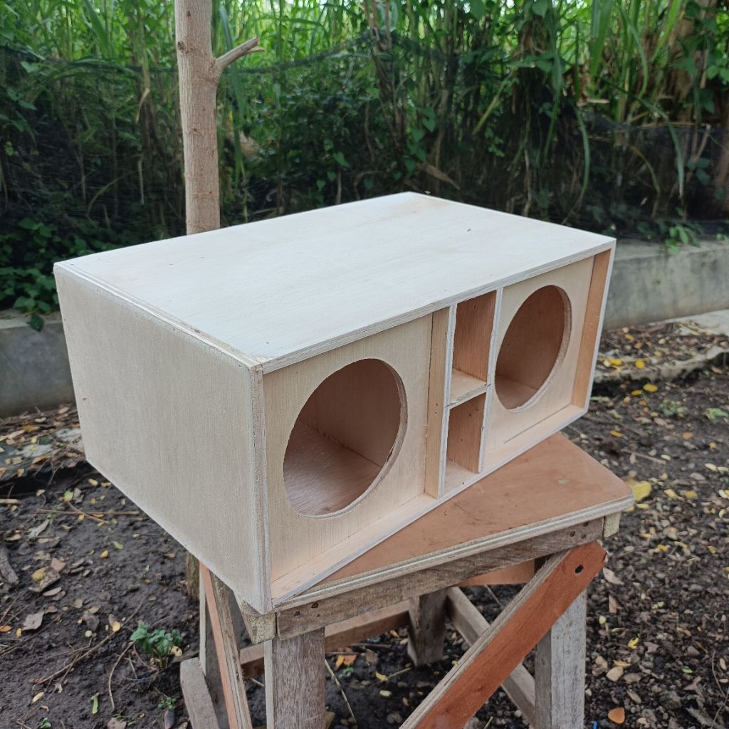 Box Speaker Miniscoop 5 Inch Double Lubang Speaker