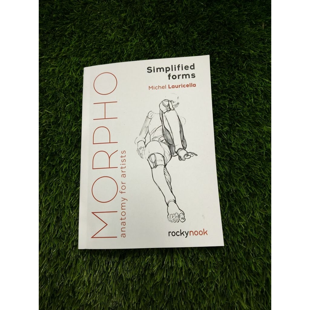 Morpho anatomy for artist Simplyfied forms