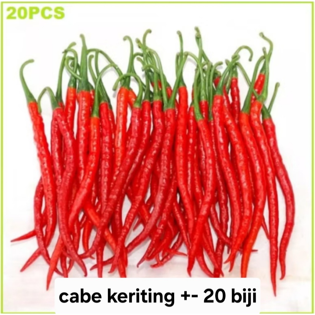 Bisa COD - CABE KERITING 20 Biji / Benih / bibit CABE MERAH KERITING F1  / BIBIT UNGGUL