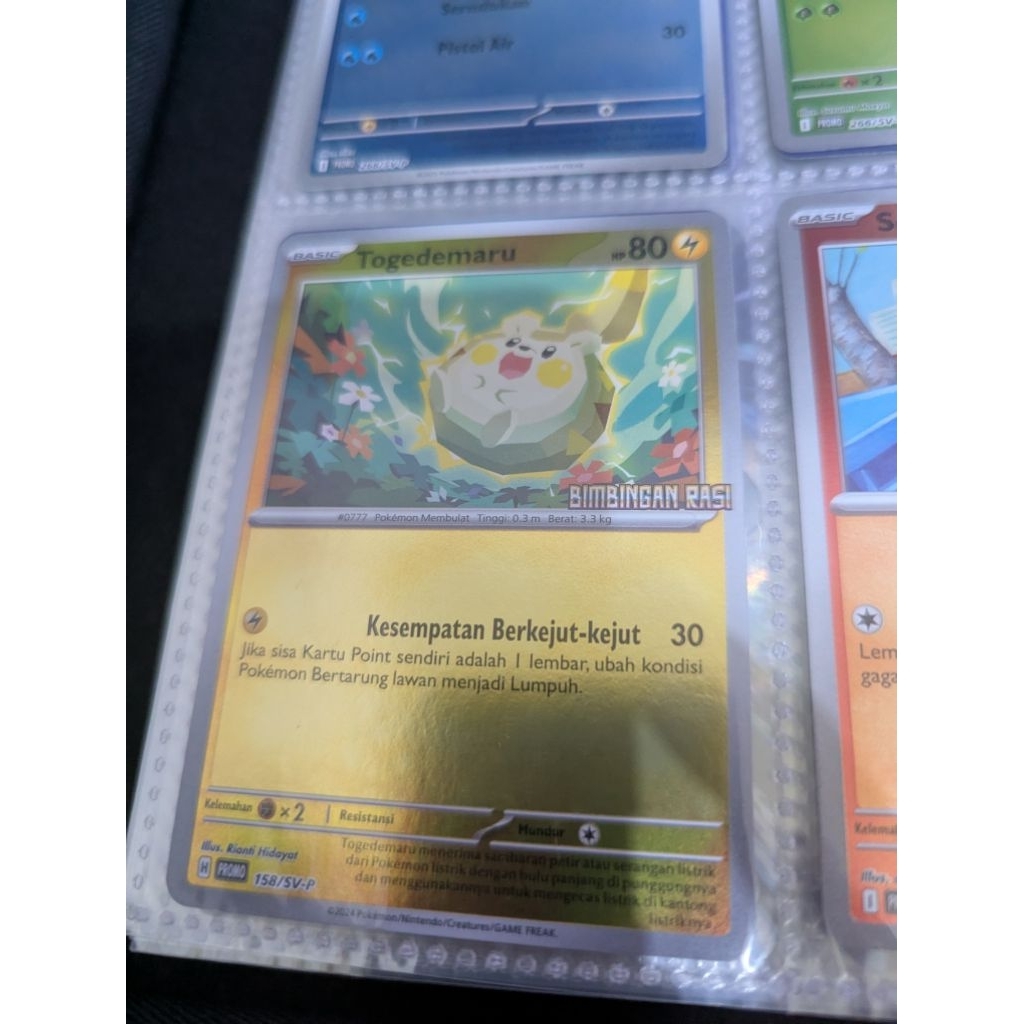 Pokemon Card Kartu Promo Bimbingan Rasi Togedemaru