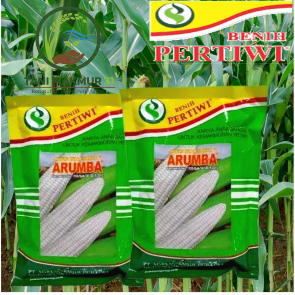 PROMO MURAH AKHIR TAHUN>>>>>Benih Jagung Putih Pulut Manis ARUMBA Jagung / Benih Jagung Ketan