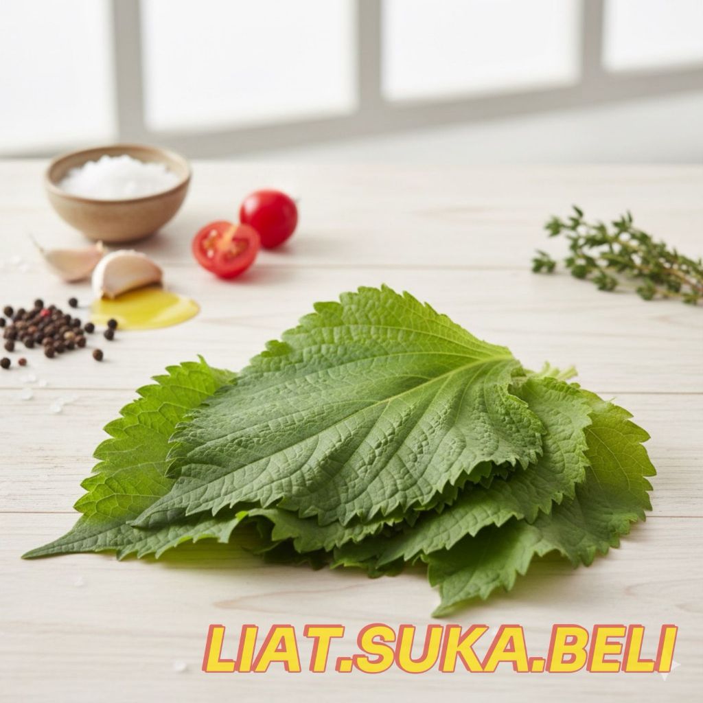 daun oba segar fresh daun perilla leaf daun shiso per pack