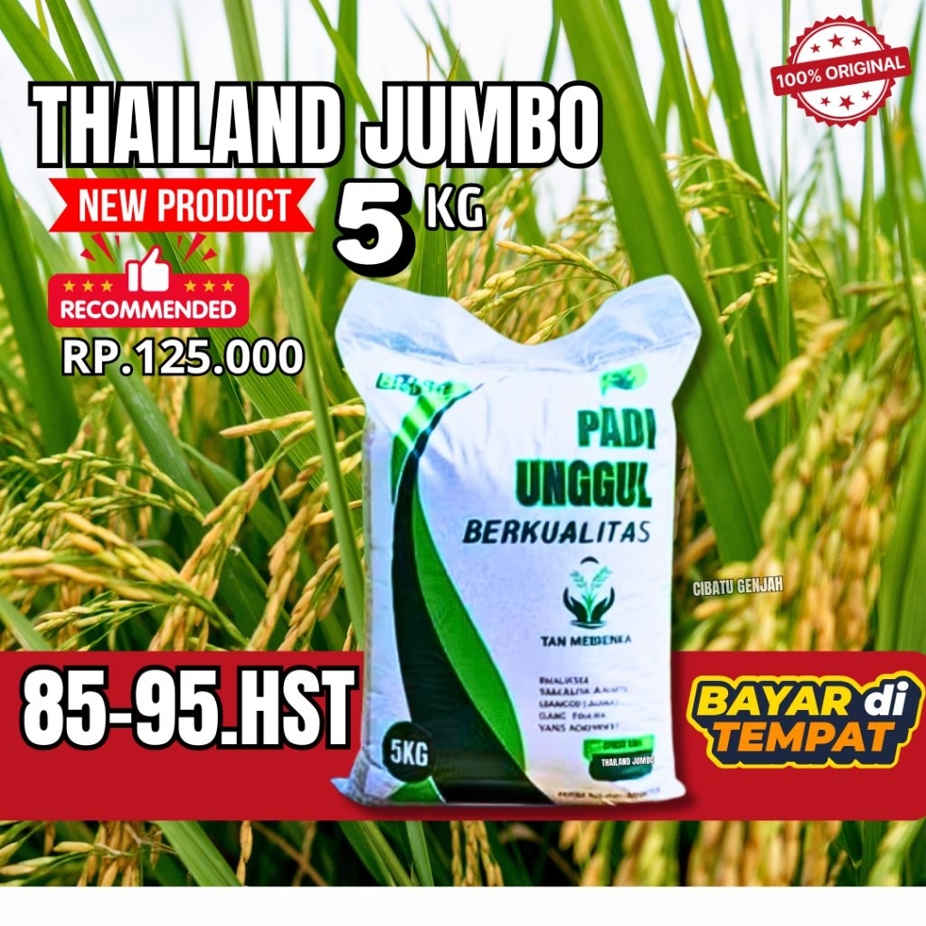bibit padi THAILAND JUMBO 5KG
