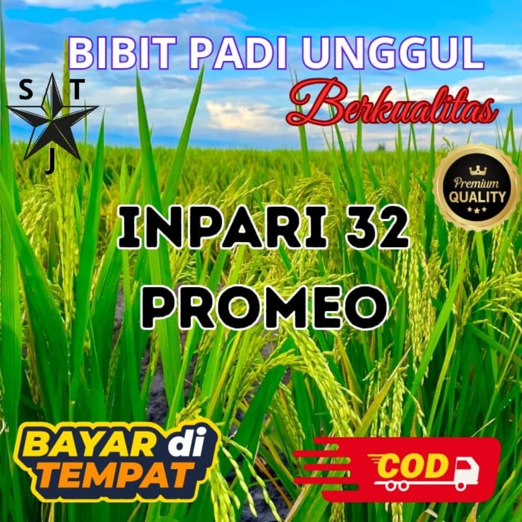 Bibit unggul padi 32 promeo kemasan 5kg