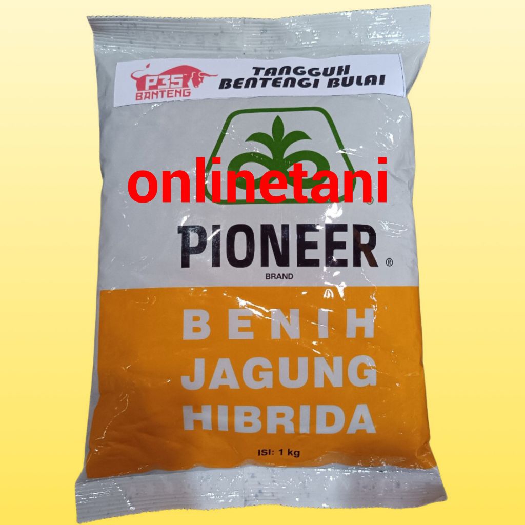 BENIH JAGUNG HIBRIDA PIONEER P35 1KG