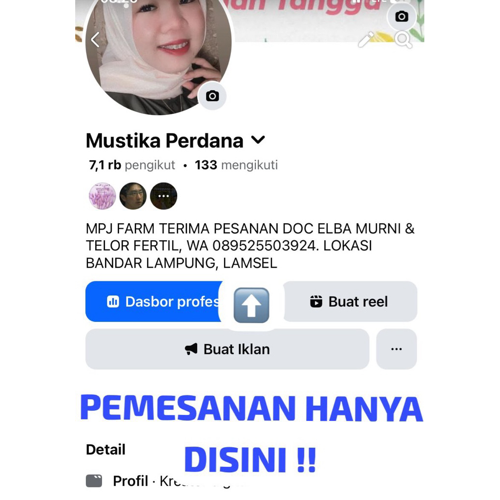 #Hanya Iklan Doc ayam kampung petelur unggul Elba Murni Asli 10000% Bukan Silangan