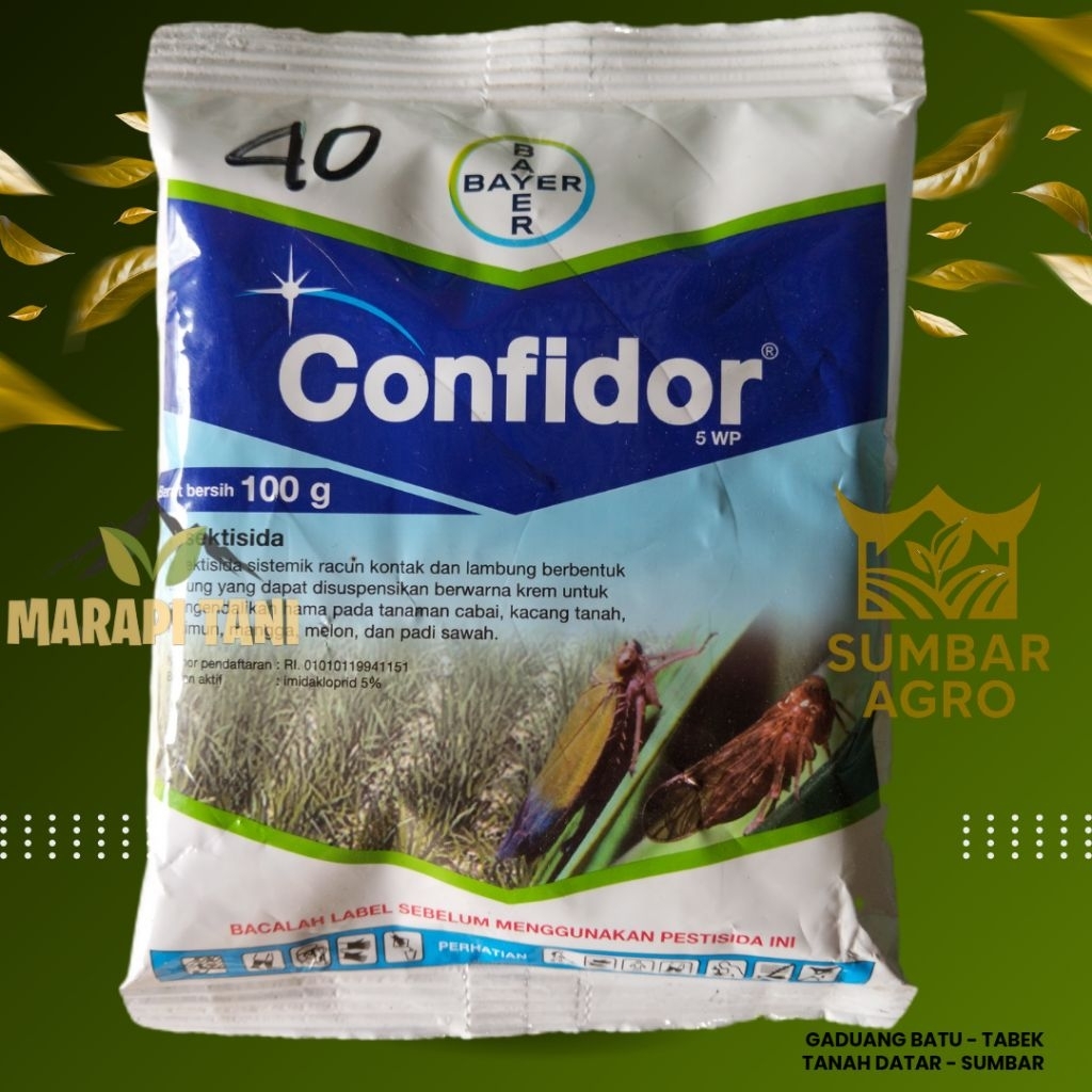 CONFIDOR 5WP 100gr // INSEKTISIDA IMIDAKLOPRID // HAMA KUTU WERENG TRIPS // ASLI BAYER
