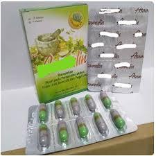 A’samulinX Herbal Alami Original – Tubuh Tetap Fit