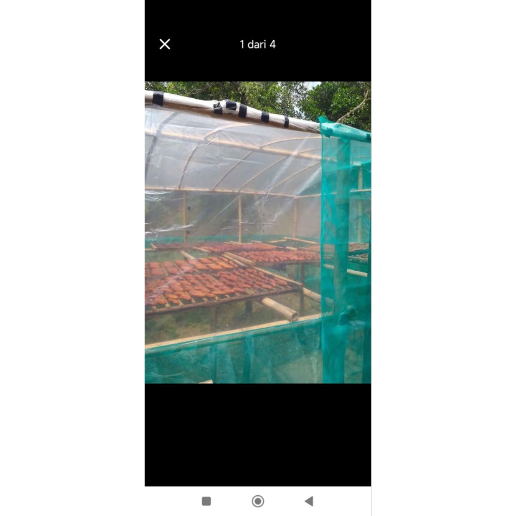 sale oven pisang basah/1 kg