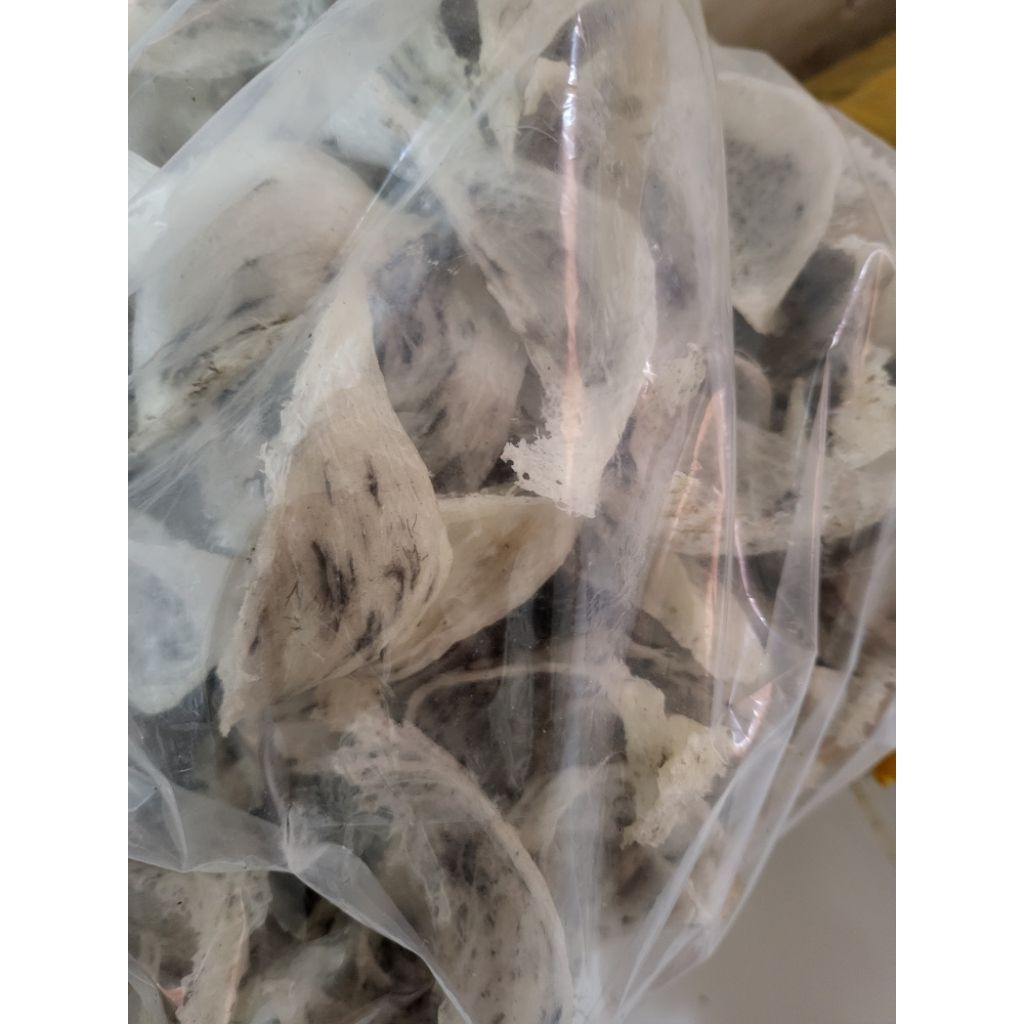 Sarang Burung Walet Kotor 5 Kilogram