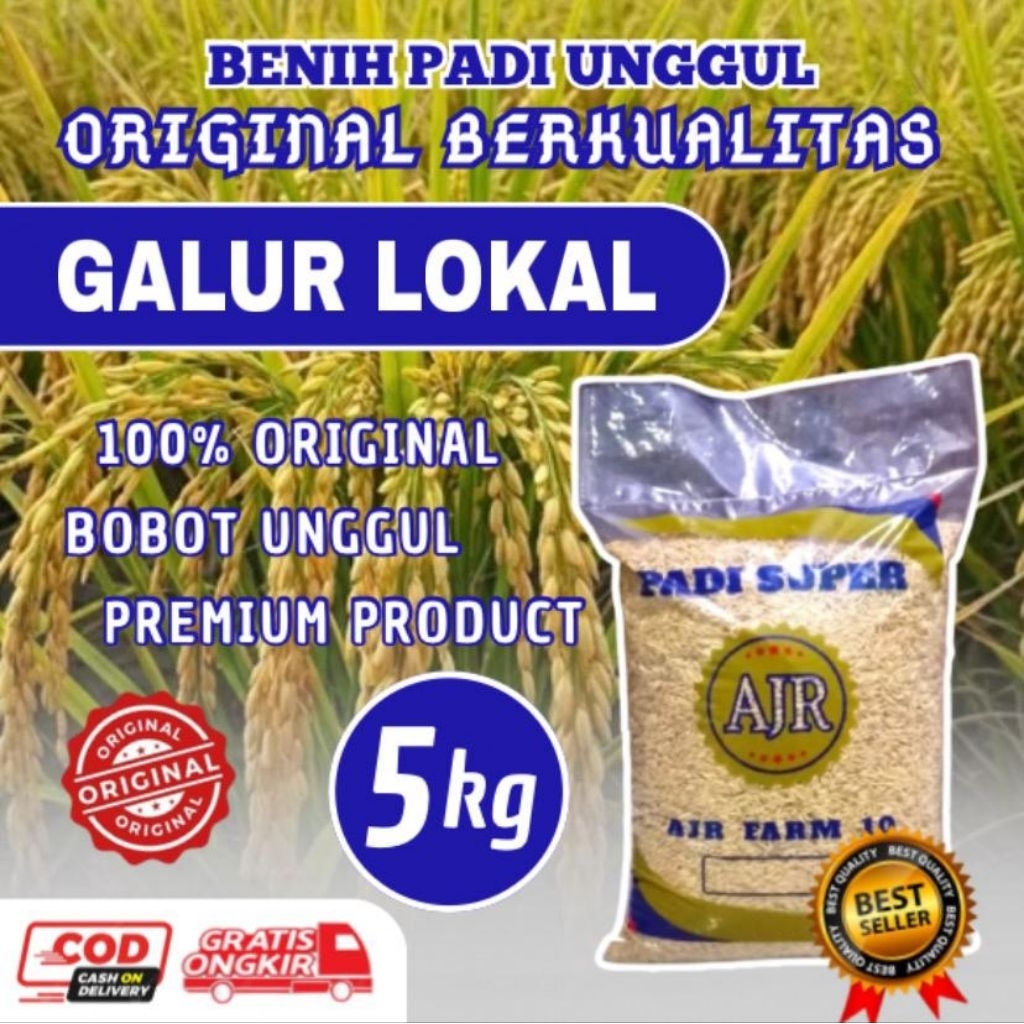 Benih Padi Unggul Kualitas Terjamin (GALUR LOKAL)5Kg
