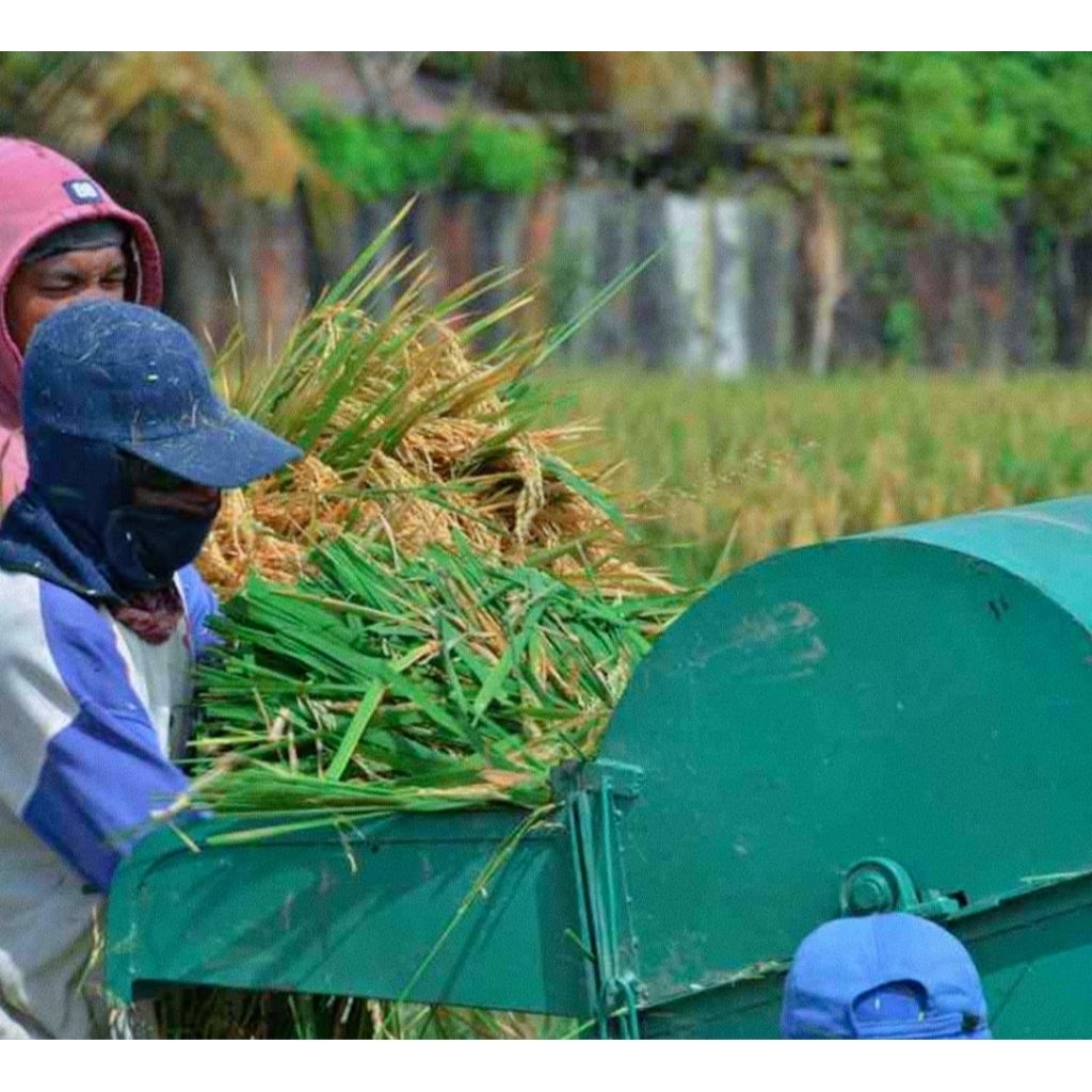 Alatperontokpadi&AritBergerigiBajaKhususPadi