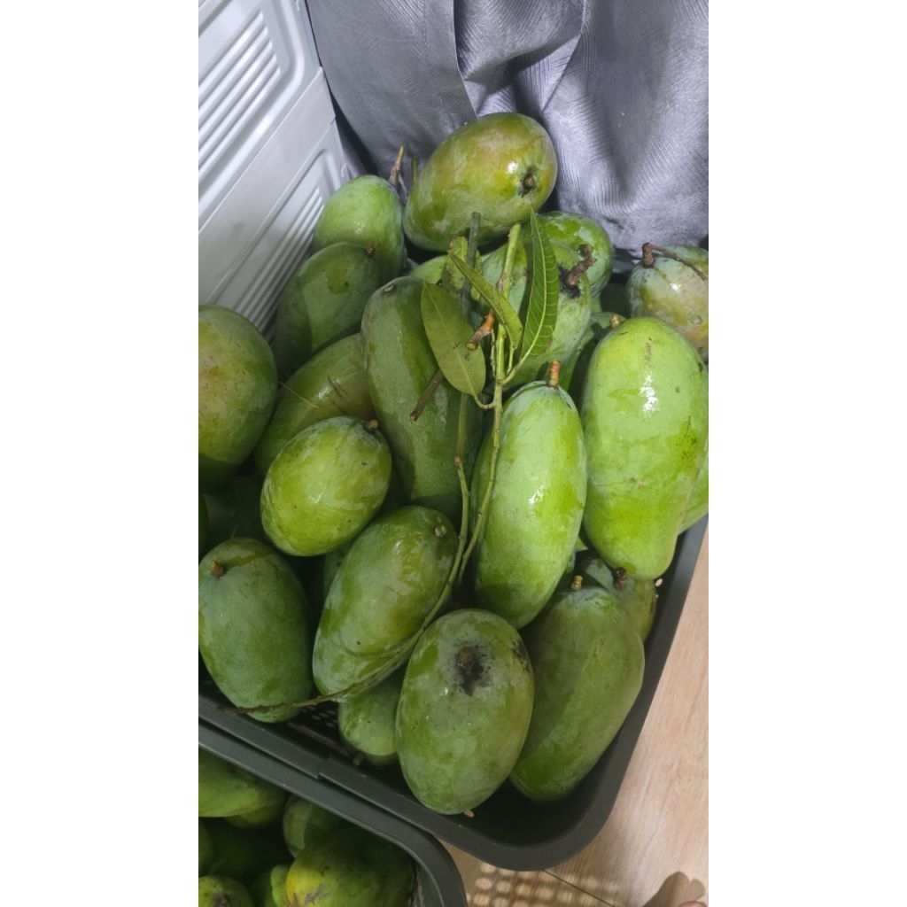 Mangga kiyojay rujak