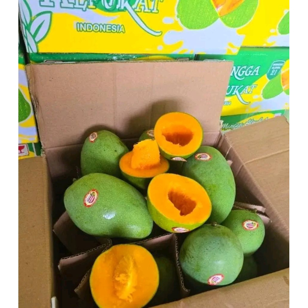 Mangga Alpukat 1dus 5kg