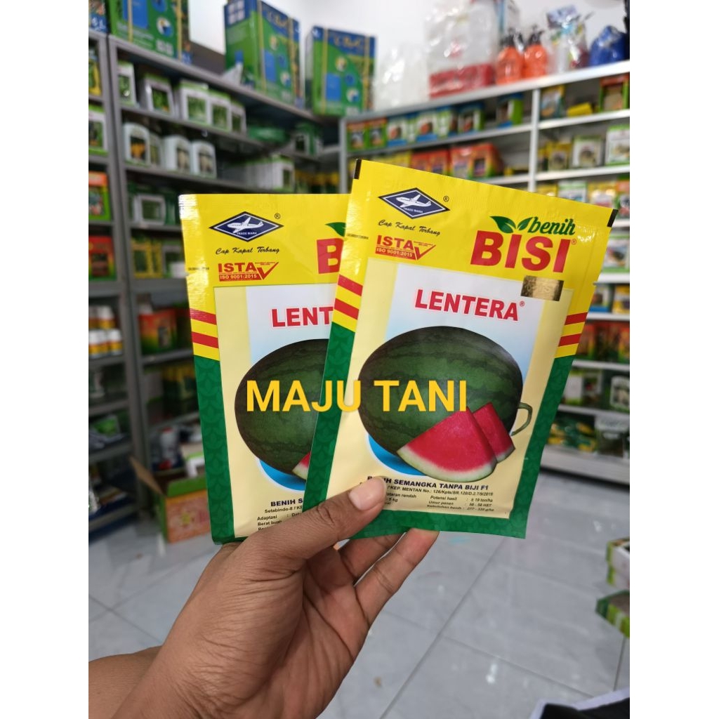 Benih Bibit Semangka Non Biji Lentera F1 (Berbobot Rasa Manis) dari Cap Kapal Terbang Isi 20 Gram ( 