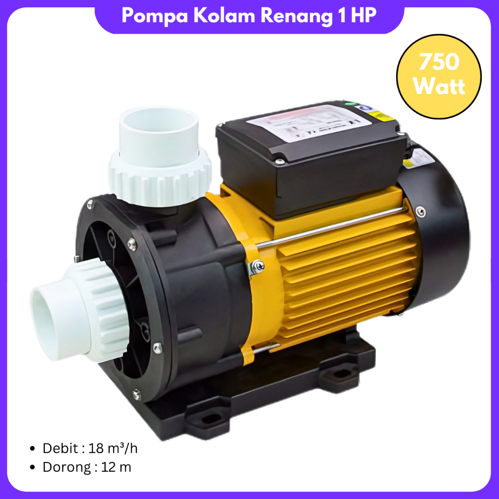 Pompa Kolam Renang 1 Hp Mesin Pompa Air TDA100 Pompa Kolam Distribusi Dan Sirkulasi Kolam Renang