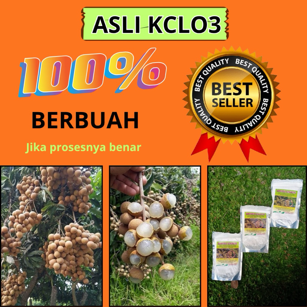 Pupuk Kelengkeng Kclo3