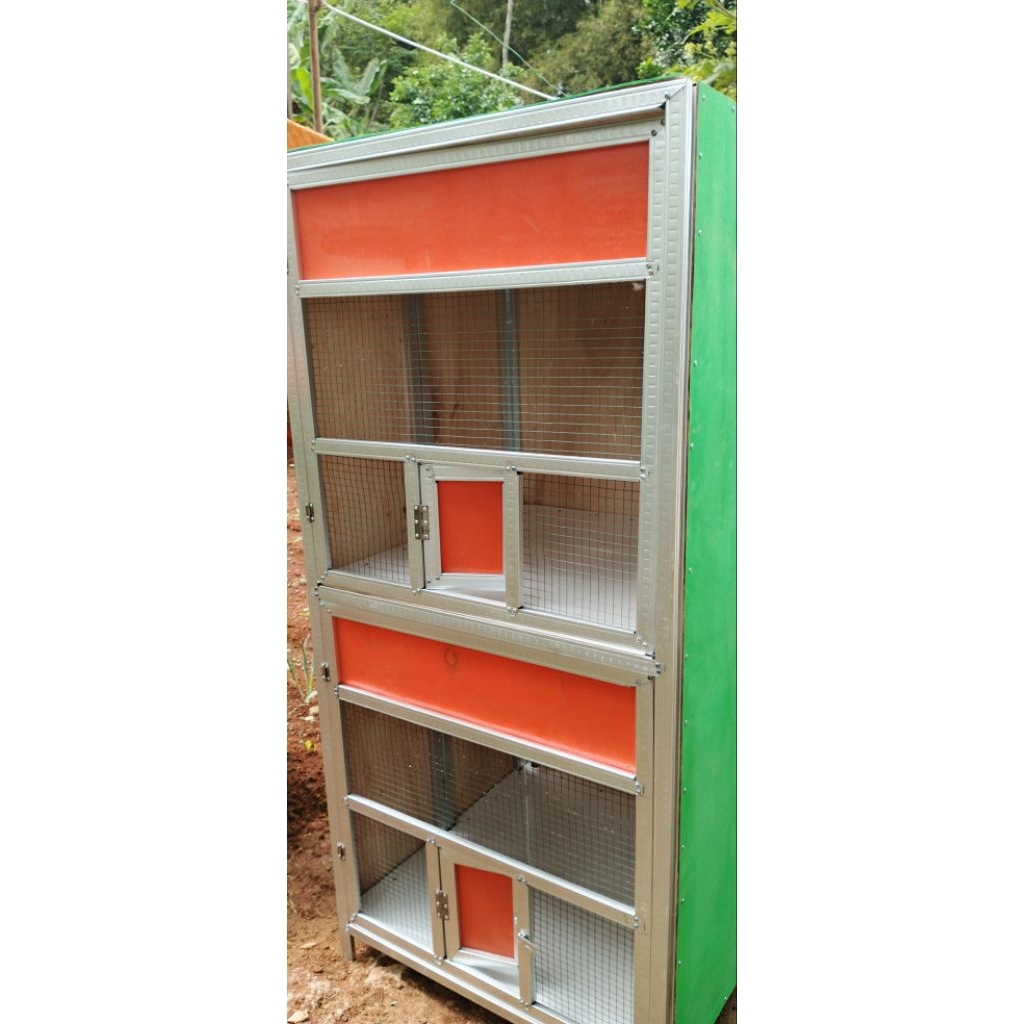 kandang macan merpati