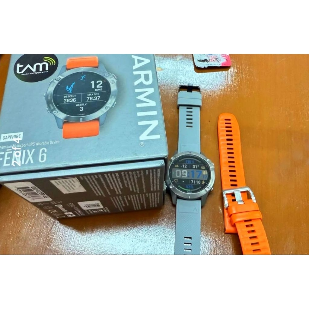Garmin Fenix 6