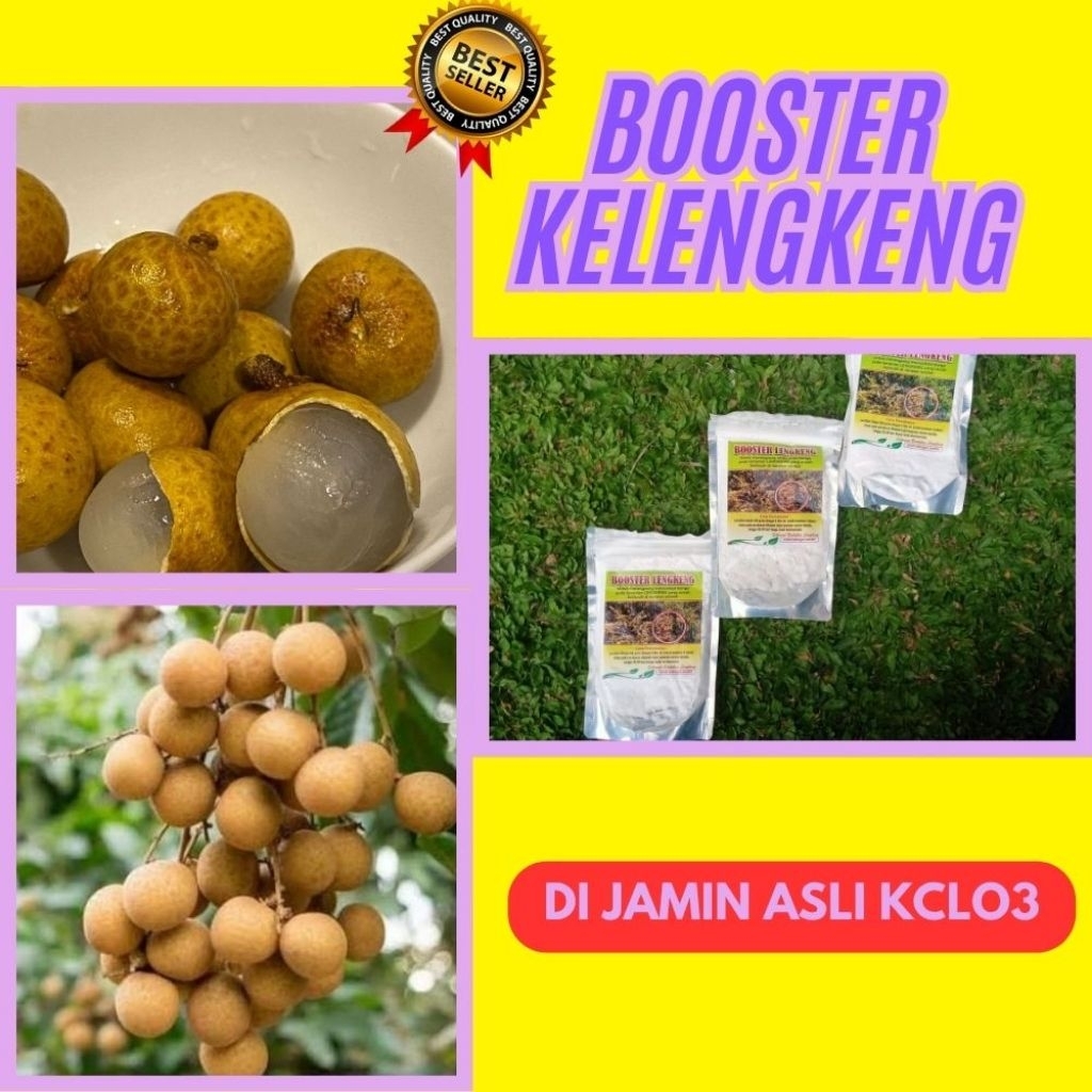 Boster Kelengkeng Kclo3