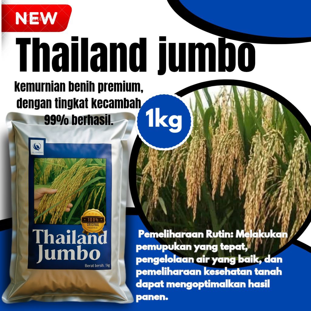 benih padi unggul Thailand jumbo bibit padi berkualitas premium 1kg